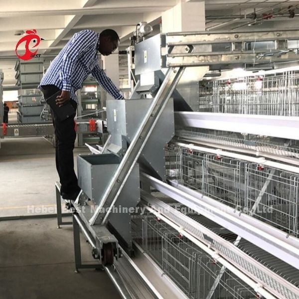 Sistema de gaiolas de bateria de camada superior para criação de frangos 96-200 Aves Construção robusta de fios Iris