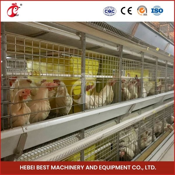 Caixa de frango tipo H com porta deslizante 450cm2 Área/Instalação de vídeo de pássaro Ada incluída