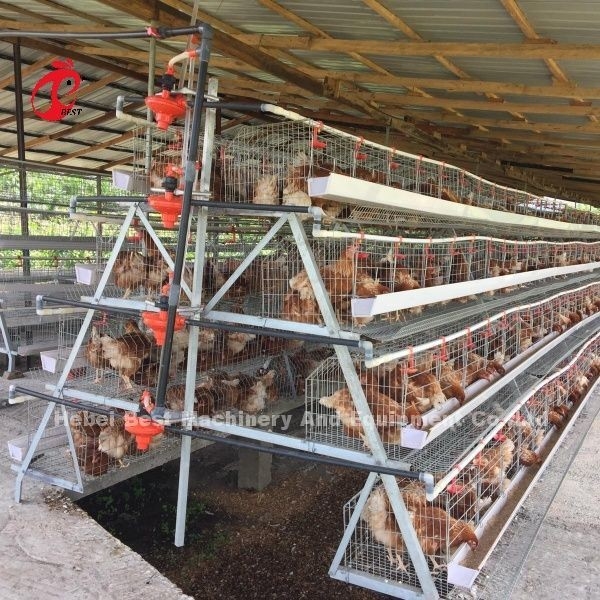 3 Nível 120 Aves e 4 Nível 160 Aves camada sistema de gaiolas de bateria para Uganda Tanzânia Poultry Farm Sandy