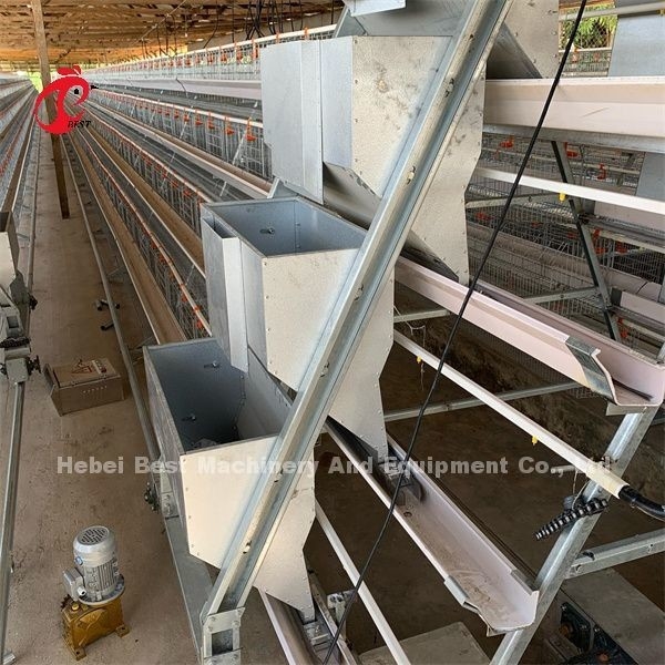 África Quente Galvanizado 4 Níveis Políticas Camada Bateria Jaula 25 Anos Duração de Vida Para Venda Para Camadas Fazenda Emily
