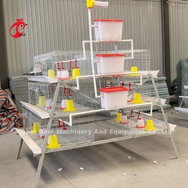 Caixa de bateria galvanizado de alta resistência de aves de capoeira