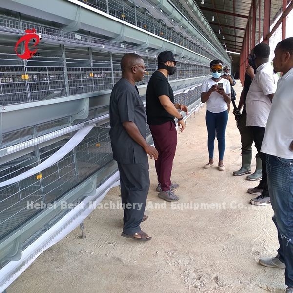 Um tipo sistema de colocação automático de H da gaiola do cultivo de aves domésticas da galinha na íris do mercado de África