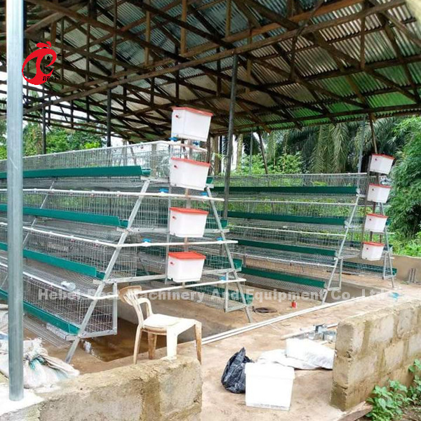 Sistema superior e de luxe do armazém de Nigéria das aves domésticas de bateria da gaiola para galinhas Sandy da camada