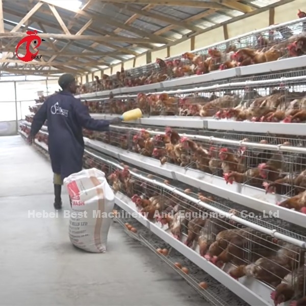 China importou a gaiola de bateria revestida ISO9001 da galinha, porta Sandy do sistema 4 da gaiola da galinha da camada