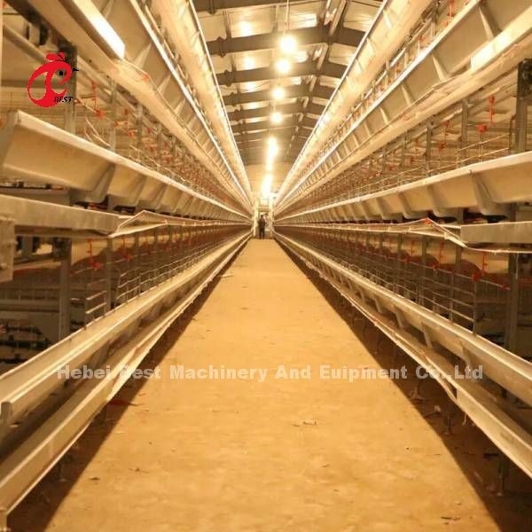 O tipo automático completo galinhas de H das gaiolas de bateria é venda quente no mercado Mia de África