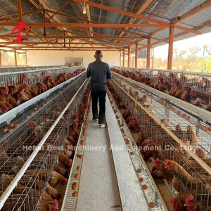 Gaiola da camada das aves domésticas das séries de Uganda 4 para a galinha 100 quilograma Mia da exploração agrícola da venda
