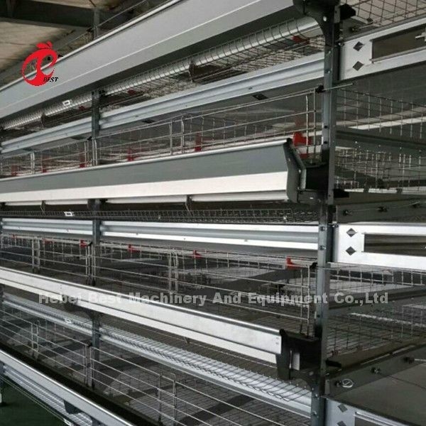 Bateria Automática Tipo H Sistema de Gaiolas de Aves Venda Quente 240Birds Rose