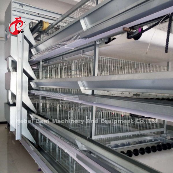 H e tipo de gaiolas automáticas de camada de aves 15000 pássaros populares na África rosa