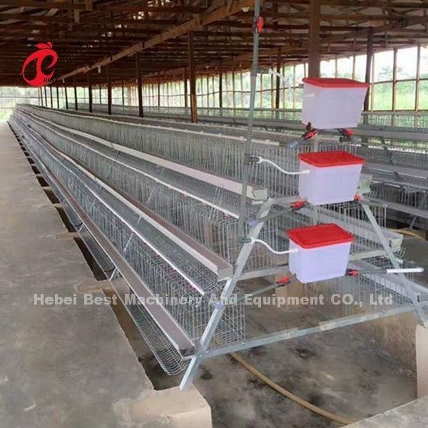 Sistema comercial 2.0m*2.0m*1.45m da gaiola de bateria da camada da galinha na estrela de Nigéria