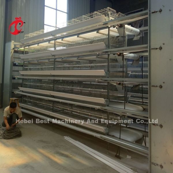 Tipo completo gaiolas de H de bateria automáticas da galinha da camada 500 pássaros Adela