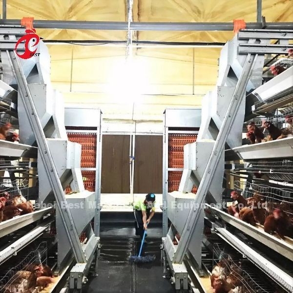 Um tipo gaiola de bateria da galinha da camada completamente automática para a grande exploração agrícola Adela