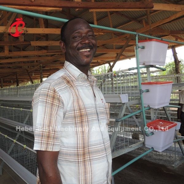 Tipo 4 Níveis 160 Aves Aves Frango Bateria Camada Caixa Estrela de Galvanização Quente