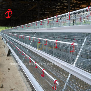 Tipo gaiola de 120 galinhas A de bateria da camada de equipamento Mia das aves domésticas